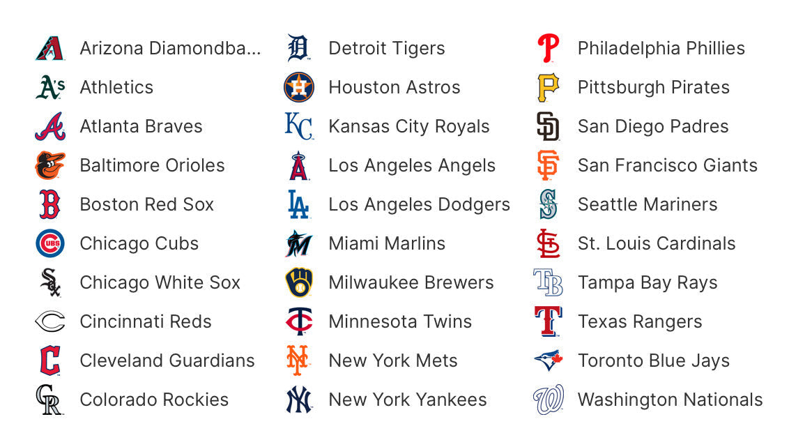 Crochet SnapBack with Fox Ears